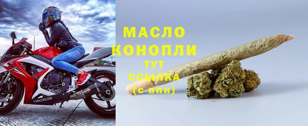 мдпв Елабуга