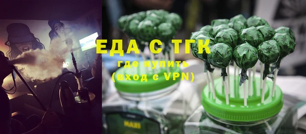 мдпв Елабуга