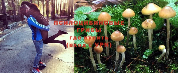 кокаин Елизово