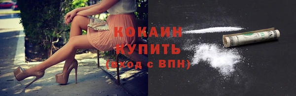 мдпв Елабуга