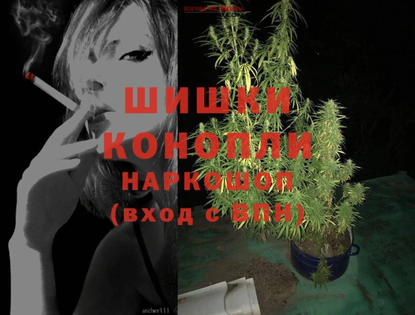 прущая мука Ельня