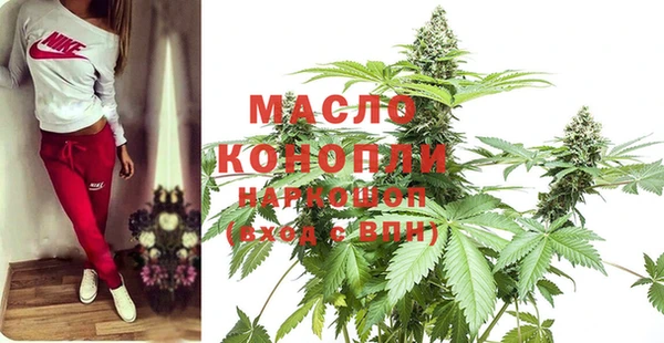 мдпв Елабуга