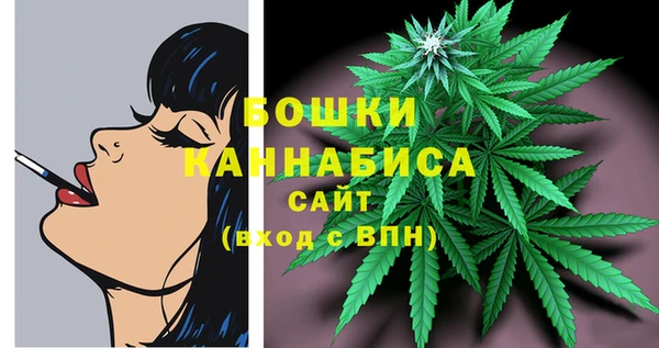 мдпв Елабуга