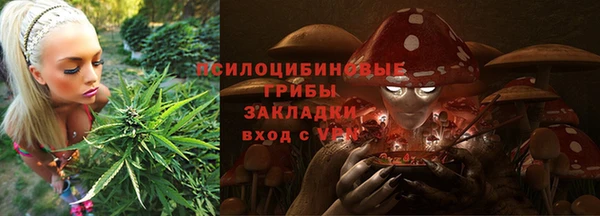 прущая мука Ельня