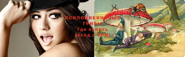 мдпв Елабуга