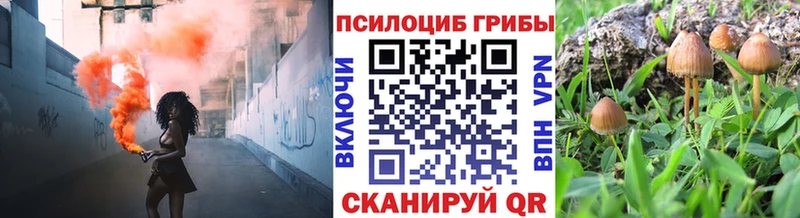 где найти наркотики  сайты даркнета Telegram  Псилоцибиновые грибы Magic Shrooms  Семёнов 